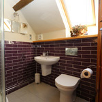 ystafell folchi fach gyda toilet a cawod