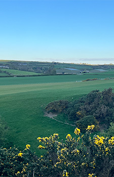 Long view of beautiful green fields with blue sky