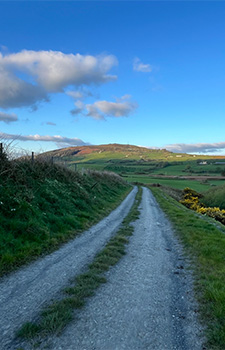 Long view of the green fields with the sun shining